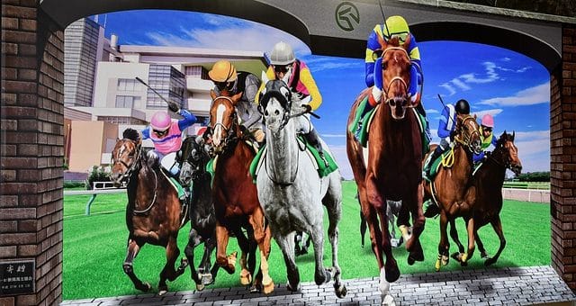 Was sind Pferdewetten?