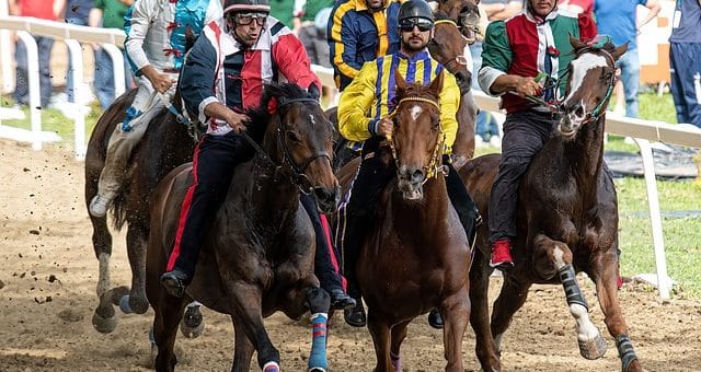Wetten auf Pferderennen: Tipps und Tricks für den erfolgreichen Einstieg
