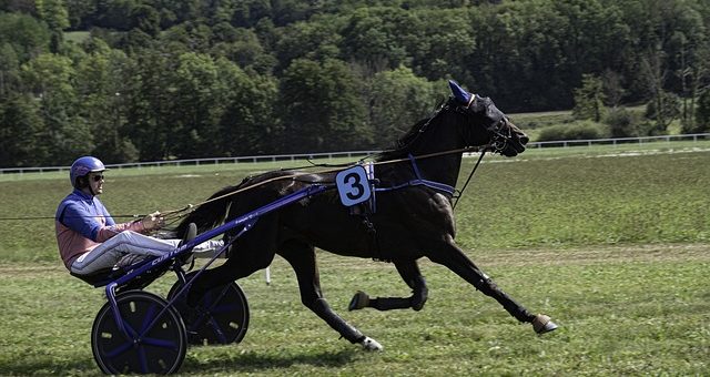 Wetten auf Pferderennen: Alles Wissenswerte