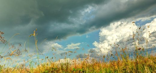 Welchen Einfluss hat das Wetter auf Sportwetten?