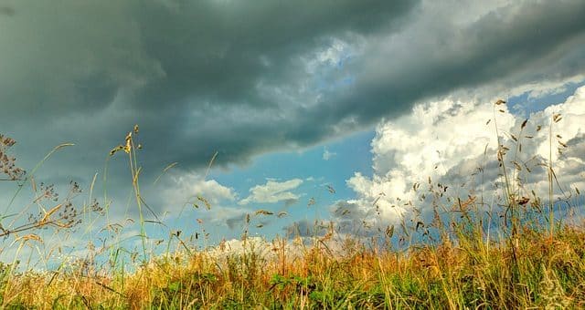 Welchen Einfluss hat das Wetter auf Sportwetten?