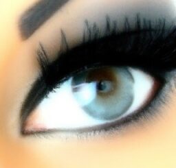 Was bedeutet das Wort Skyjo?